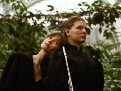 Солисты Ансамбля независимых музыкантов. Пейзажи с птицами