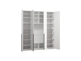 Распашной шкаф Кимбол 4.1-240x280 Белый