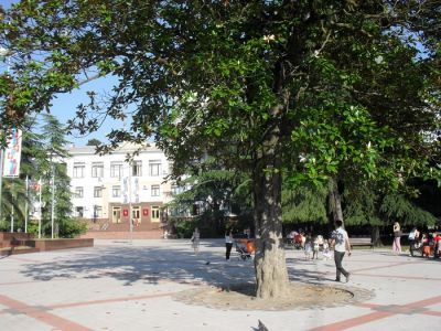 Деревья дружбы (четыре магнолии), посаженные представителями городов-побратимов: мэром г. Челтенхема, делегациями г. Лиона и мэром г. Ментона