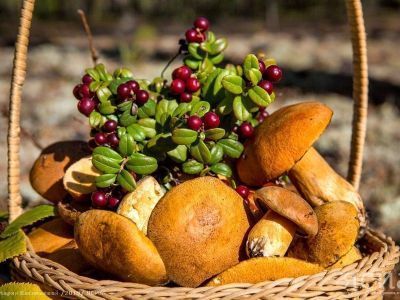 ФОТОРЕПОРТАЖ. Золотая осень