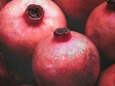 Фрукты из Турции разрешили ввозить в Россию