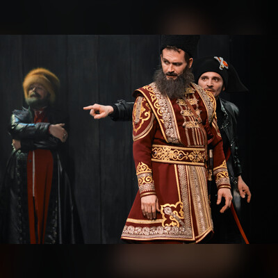 Капитанская дочка