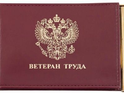 В России предлагают упростить порядок получения «Ветерана труда»
