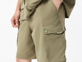 Мужские шорты Lacoste