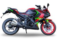 Мотоцикл RACER RC250XZR-A Storm
