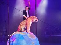 Севастопольский государственный цирк