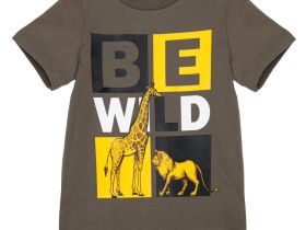 Фуфайка трикотажная для мальчиков (футболка)