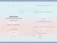 Организация, реализация и популяризация мероприятий физкультурно-оздоровительной и спортивной работы со студентами. Присваивается квалификация (выбор квалификации*) (520 ч.)