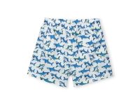 Плавки для мальчика