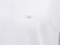 Футболка из капсулы СПОРТ