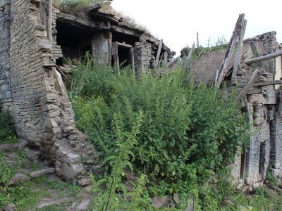 Резные камни с арабскими письменами и изображениями (5 единиц)