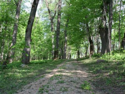 Усадьба Карамышевых, парк