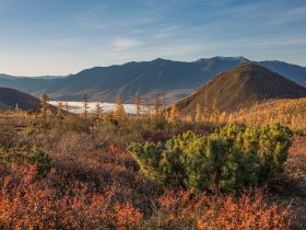 Автотур "Колыма". Маршрут: Якутск-Оймякон-Магадан (Летний сезон)