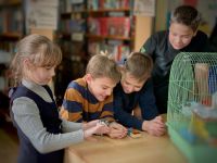 Сельская библиотека станции Посольской