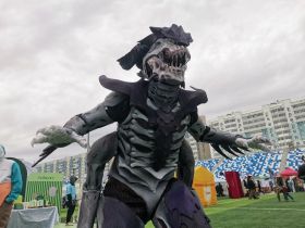 Избранный, Хорнет, Вай: кого косплеят якутяне на Ykt Geek Fest
