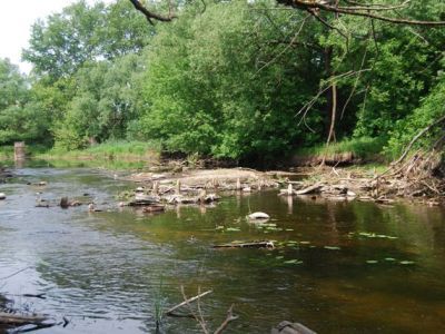 Остатки плотины и архиерейской мельницы на реке Тьмаке