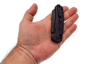 Складной нож Bestech Knives Cicada's Wing, сталь 10Cr15MoV, рукоять G10, фиолетовый