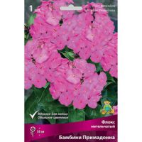 Флокс метельчатый Бамбини Примадонна