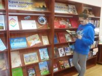 Дмитриевская модельная библиотека