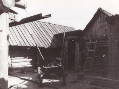 Зимовье для птицы