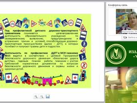 Организация работы по профилактике детского дорожно-транспортного травматизма (в условиях реализации ФГОС)