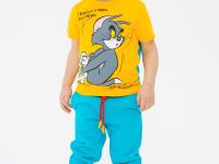 Фуфайка детская трикотажная для мальчиков (футболка)