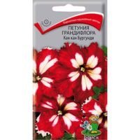 Петуния грандифлора Кан кан бургунди