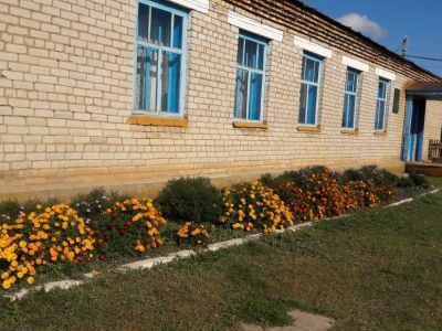 Янаульская сельская библиотека