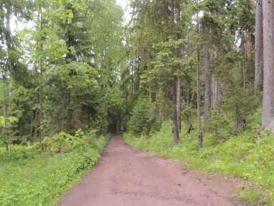 Дорога от монастыря на Тростяное