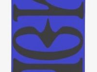 Сноуборд SALOMON ASSASSIN 21/22