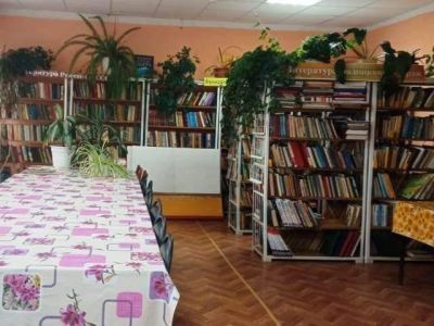 Волипельгинская сельская библиотека