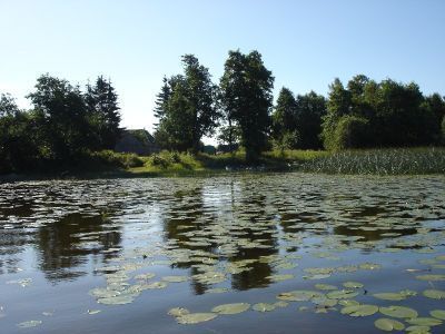 Усадебный парк