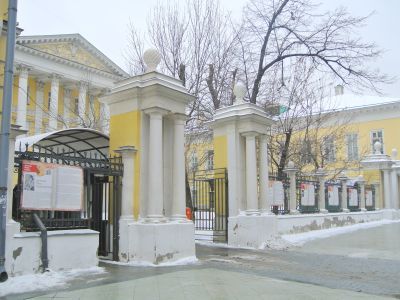 Ограда с пилонами ворот, архитектор М.Ф.Казаков