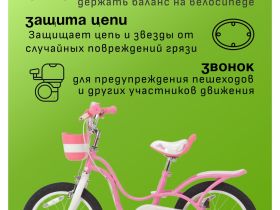 Детский велосипед Royal Baby Little Swan 16, год 2022, цвет Розовый