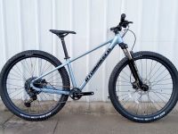 Горный велосипед Atom Xtrail X10 29, год 2025, цвет Серый, ростовка 15