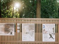 Музей под открытым небом «Заповедные кварталы»