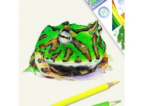 Набор карандашей цветных неоновых ACMELIAE "Neon Artmate" 12 цв, в картонном футляре