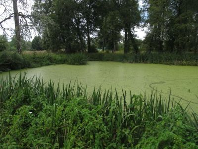 Усадебный комплекс