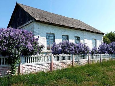 Кокаревский сельский клуб