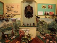 Алексеевский краеведческий музей