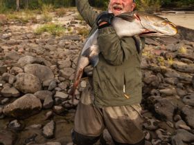 Рыбалка на трофейного тайменя на реке Гонам