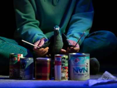 Билеты на Невероятные приключения голубя Петра (Театр драмы им. Пушкина) / Театр | Афиша | ИнфоТаймс