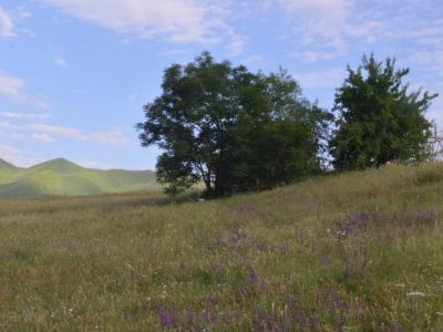 Курган "Жин тёбе" и могильник