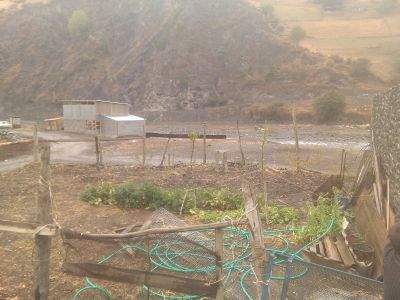 Хлев для скота