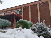 Краеведческий музей им. Н. И. Береговой г. Спасска-Дальнего