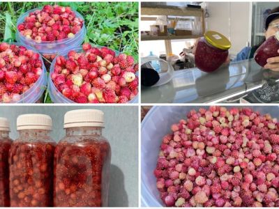 Сколько стоит лесная земляника в Якутске: обзор цен