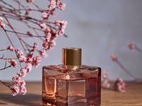 Диффузор Sandalwood для автомобиля, 50 мл