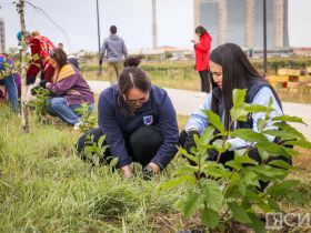 В День окончания Второй мировой войны в Якутске высадили 80 кустов сирени