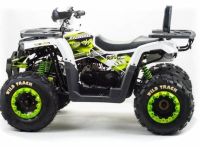 Квадроцикл MOTOLAND 200 Wild Track Lux ( Баланс. вал) (2021 Г.)