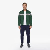Мужские хлопковые спортивные брюки Lacoste
